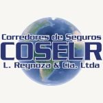 Logo Empresa COSELR 300x300